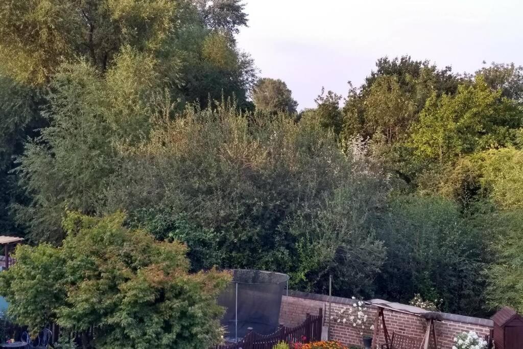 Luxury Townhouse In Town Centre, Views, River Walk, Free Parking Shrewsbury Eksteriør bilde